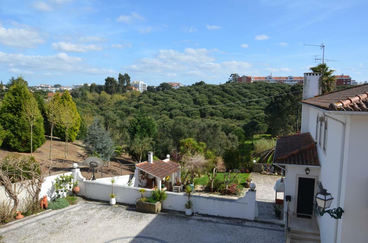 Casa Da Palmeira เลเรีย ภายนอก รูปภาพ