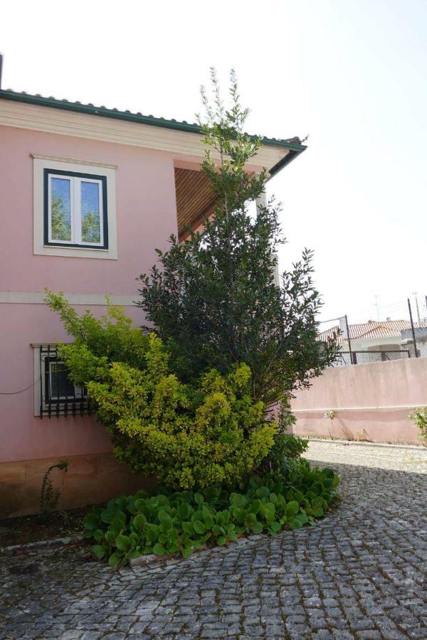 Casa Da Palmeira เลเรีย ภายนอก รูปภาพ